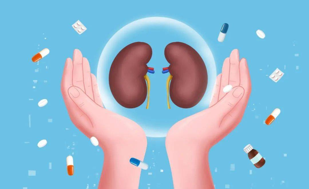 干細胞治療腎病國家叫停了？科學爭議與政策博弈背后的真相