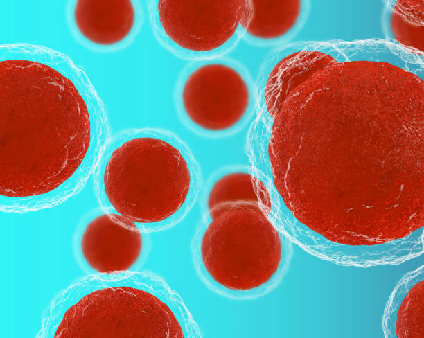 異體干細胞移植排異反應概率有多大全解析：從40%高風險到9.1%的生存革命