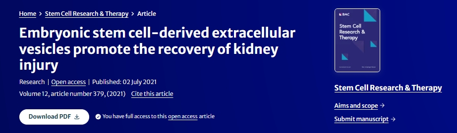 胚胎干細胞來源的細胞外囊泡促進腎臟損傷的恢復