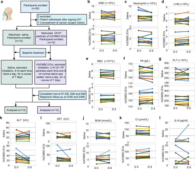 圖4:霧化hUCMSC-EVs對(duì)肺纖維化患者的臨床安全性。 圖4:霧化hUCMSC-EVs對(duì)肺纖維化患者的臨床安全性。