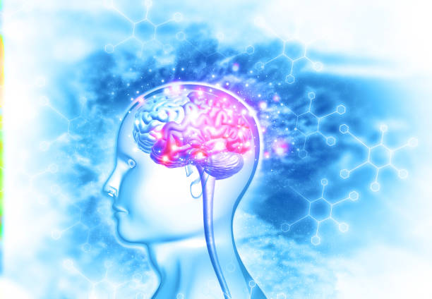 腦出血治療新希望：間充質(zhì)干細(xì)胞治療臨床安全有效？最新證據(jù)來了