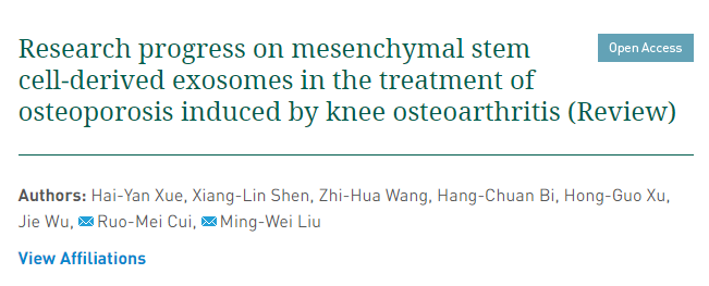 間充質干細胞來源的外泌體治療膝骨關節(jié)炎所致骨質疏松癥的研究進展 間充質干細胞來源的外泌體治療膝骨關節(jié)炎所致骨質疏松癥的研究進展