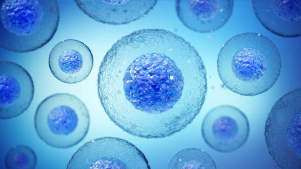 干細胞治療神經(jīng)退行性疾病的干細胞類型都有哪些? 干細胞治療神經(jīng)退行性疾病的干細胞類型都有哪些?