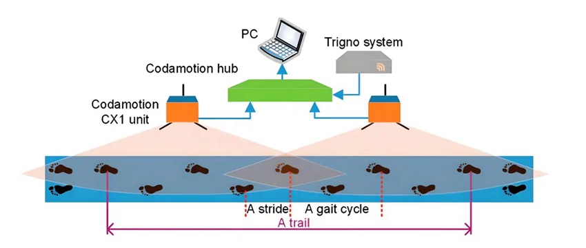 患者步態周期中表面肌電數據采集分析系統模型 患者步態周期中表面肌電數據采集分析系統模型