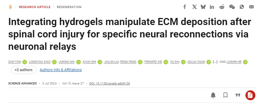 整合水凝膠可控制脊髓損傷后的ECM沉積,從而通過神經(jīng)元中繼實(shí)現(xiàn)特定的神經(jīng)重新連接 整合水凝膠可控制脊髓損傷后的ECM沉積,從而通過神經(jīng)元中繼實(shí)現(xiàn)特定的神經(jīng)重新連接