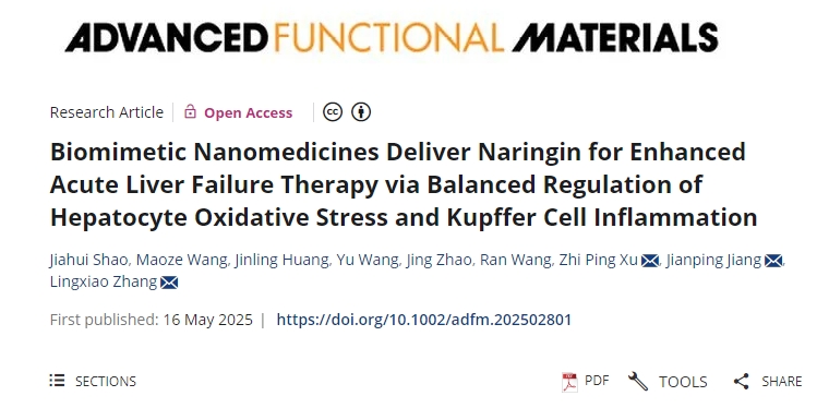 仿生納米藥物遞送柚皮苷，通過(guò)平衡調(diào)節(jié)肝細(xì)胞氧化應(yīng)激和庫(kù)普弗細(xì)胞炎癥來(lái)增強(qiáng)急性肝衰竭治療