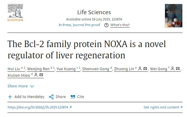 Bcl-2家族蛋白NOXA是一種新型的肝臟再生調(diào)節(jié)劑
