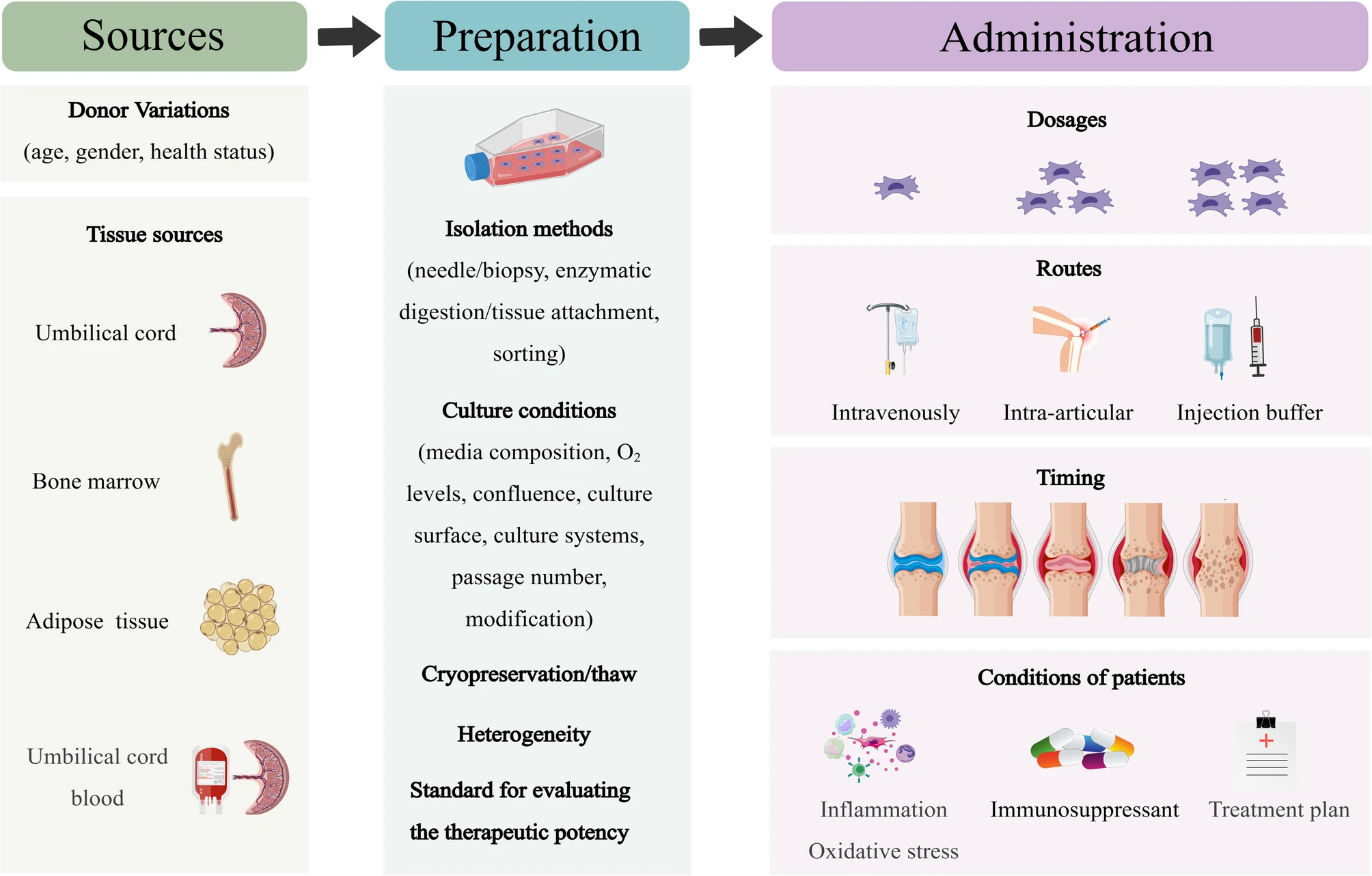 圖6：MSCs在類風濕性關節炎的臨床應用中，需要精確地標準化參數。