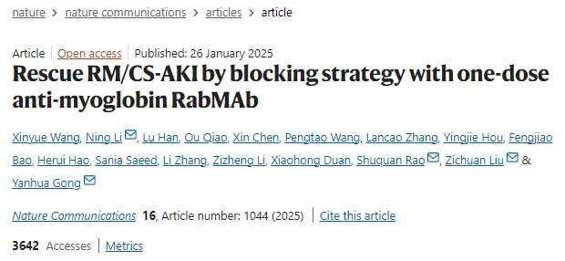 通過單劑量抗肌紅蛋白RabMAb阻斷策略挽救橫紋肌溶解癥或擠壓綜合征相關急性腎損傷 通過單劑量抗肌紅蛋白RabMAb阻斷策略挽救橫紋肌溶解癥或擠壓綜合征相關急性腎損傷