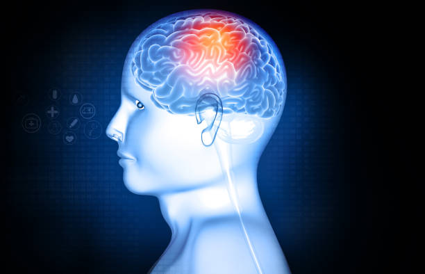 細胞療法治療創傷腦損傷:機制、臨床突破與未來展望 細胞療法治療創傷腦損傷:機制、臨床突破與未來展望