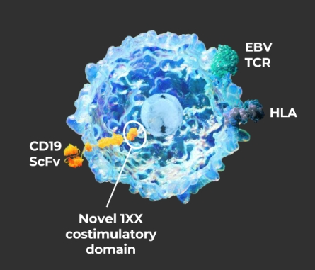ATA3219設(shè)計(jì)圖