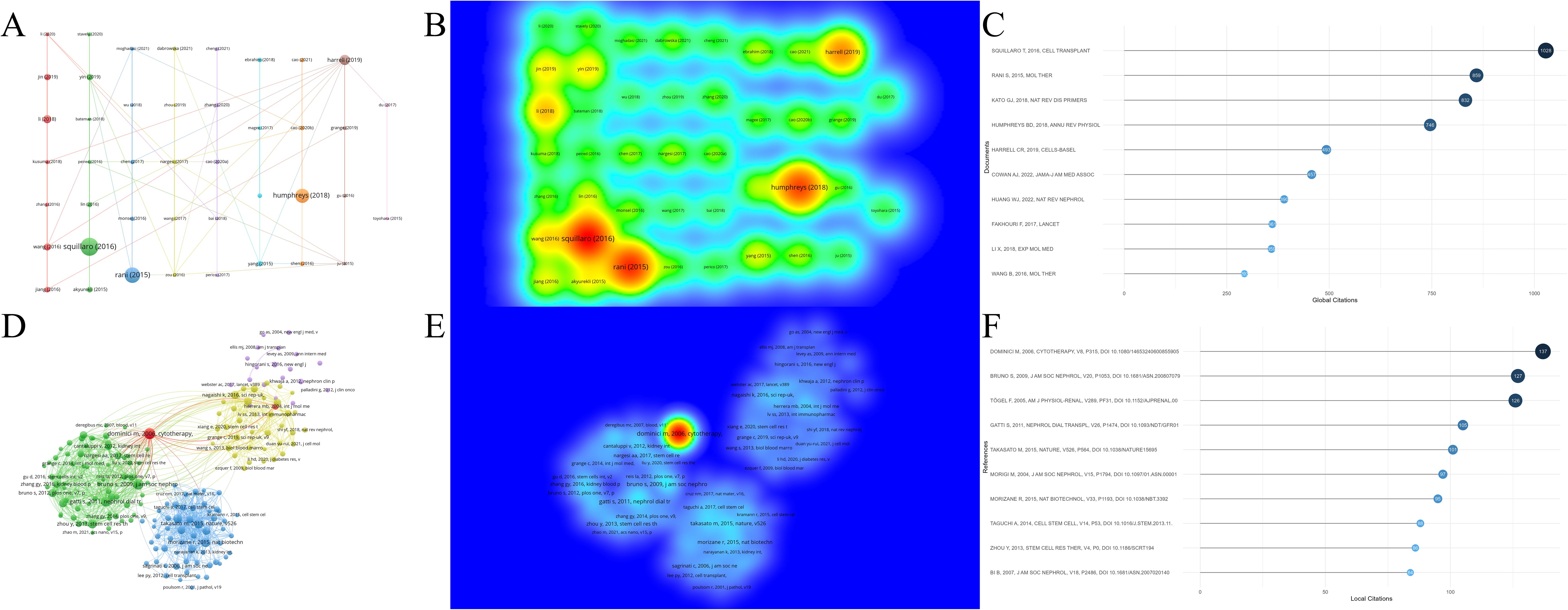 圖7：腎臟疾病干細胞治療研究中被引文獻及參考文獻分析。