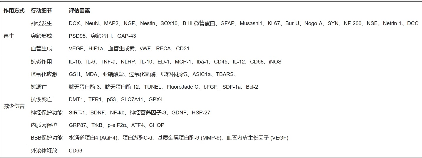 表2：干細胞移植促進神經再生和血管新生的機制