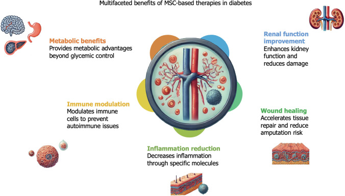 圖5:間充質(zhì)干細(xì)胞療法對糖尿病患者的各種非血糖影響。 圖5:間充質(zhì)干細(xì)胞療法對糖尿病患者的各種非血糖影響。