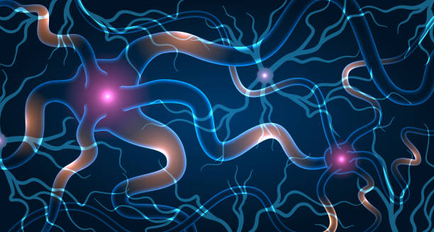 神經(jīng)干細胞移植效果如何？2025最新臨床進展與患者案例深度解析