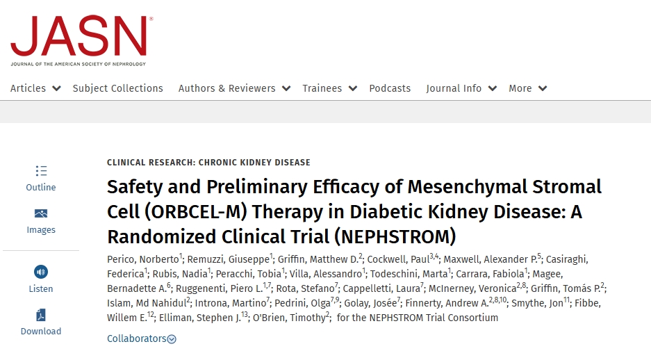 間充質(zhì)基質(zhì)細(xì)胞(ORBCEL-M)治療糖尿病腎病的安全性和初步療效:一項(xiàng)隨機(jī)臨床試驗(yàn)(NEPHSTROM) 間充質(zhì)基質(zhì)細(xì)胞(ORBCEL-M)治療糖尿病腎病的安全性和初步療效:一項(xiàng)隨機(jī)臨床試驗(yàn)(NEPHSTROM)
