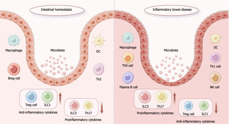圖1：炎癥性腸病的發(fā)病機制。
