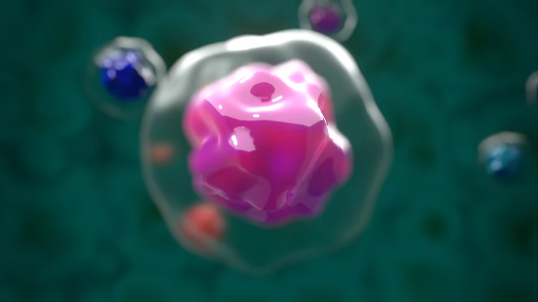 重磅解讀:干細胞如何修復1型糖尿病?3大核心作用機制全解析 重磅解讀:干細胞如何修復1型糖尿病?3大核心作用機制全解析