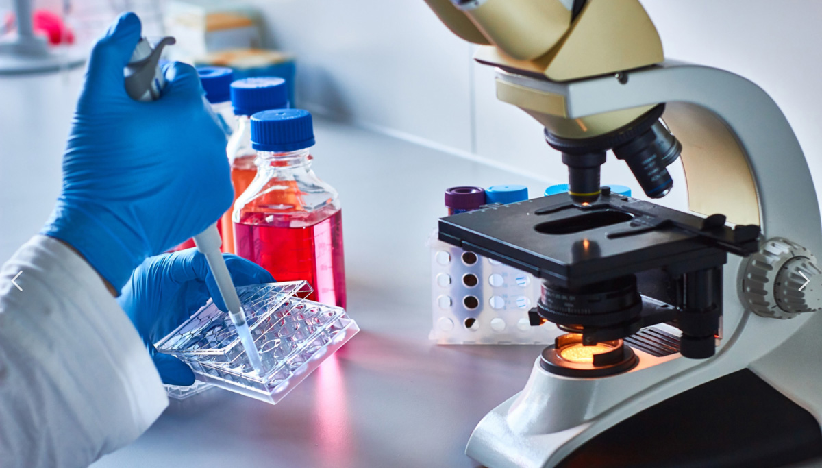 干細胞治療 干細胞治療