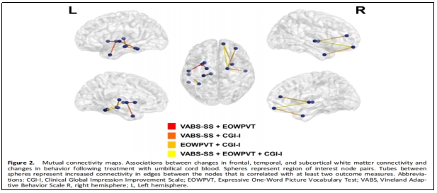 臨床試驗 臨床試驗