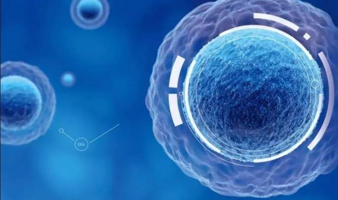 間充質(zhì)干細(xì)胞治療新策略：藥物遞送、腫瘤治療、免疫調(diào)節(jié)與臨床轉(zhuǎn)化的應(yīng)用前景