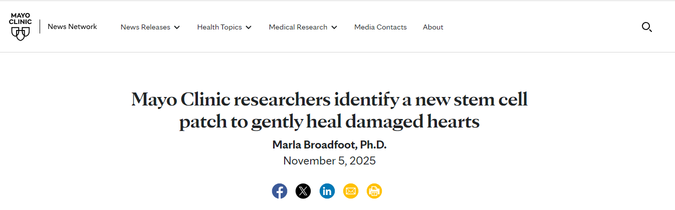 梅奧診所的研究人員發(fā)明了一種新型干細(xì)胞貼片,可以溫和地修復(fù)受損心臟 梅奧診所的研究人員發(fā)明了一種新型干細(xì)胞貼片,可以溫和地修復(fù)受損心臟