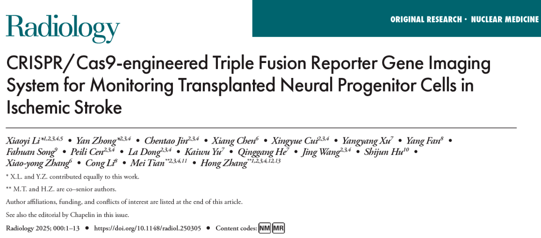 利用 CRISPR/Cas9 技術構建的三融合報告基因成像系統(tǒng)監(jiān)測缺血性中風中移植的神經祖細胞 利用 CRISPR/Cas9 技術構建的三融合報告基因成像系統(tǒng)監(jiān)測缺血性中風中移植的神經祖細胞