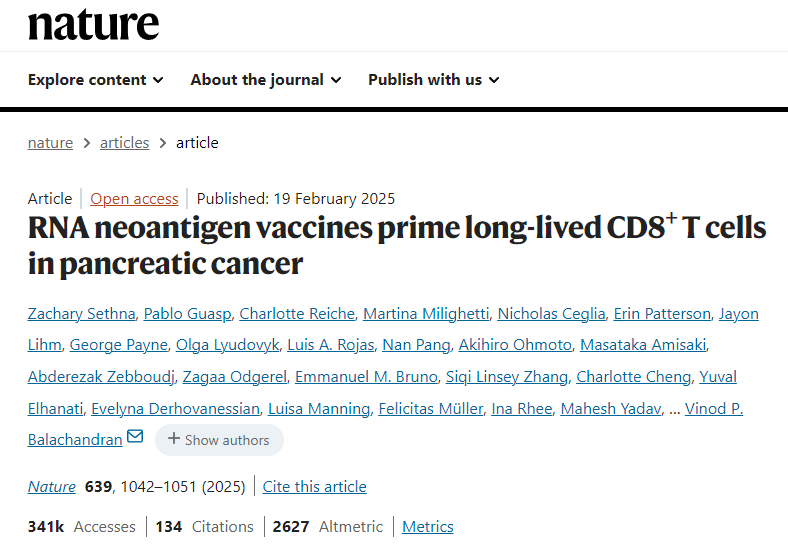 RNA新抗原疫苗可激活胰腺癌中的長壽命CD8 + T細(xì)胞