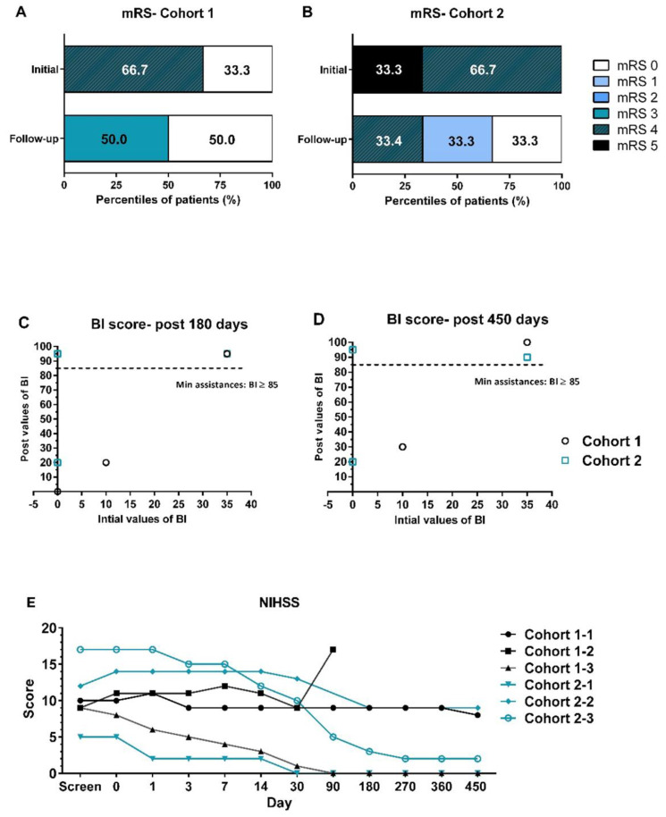 圖2:采用改良Rankin量表(mRS)、美國國立衛生研究院卒中量表(NIHSS)和Barthel指數(BI)進行臨床功能評估。?(A, B) 隊列1和隊列2在基線和隨訪結束時的mRS評分分布。(C, D) 所有患者在初始篩選時的BI評分值與治療后180天和450天的BI評分值進行比較。(E) 所有患者在整個試驗期間的NIHSS評估。 圖2:采用改良Rankin量表(mRS)、美國國立衛生研究院卒中量表(NIHSS)和Barthel指數(BI)進行臨床功能評估。?(A, B) 隊列1和隊列2在基線和隨訪結束時的mRS評分分布。(C, D) 所有患者在初始篩選時的BI評分值與治療后180天和450天的BI評分值進行比較。(E) 所有患者在整個試驗期間的NIHSS評估。