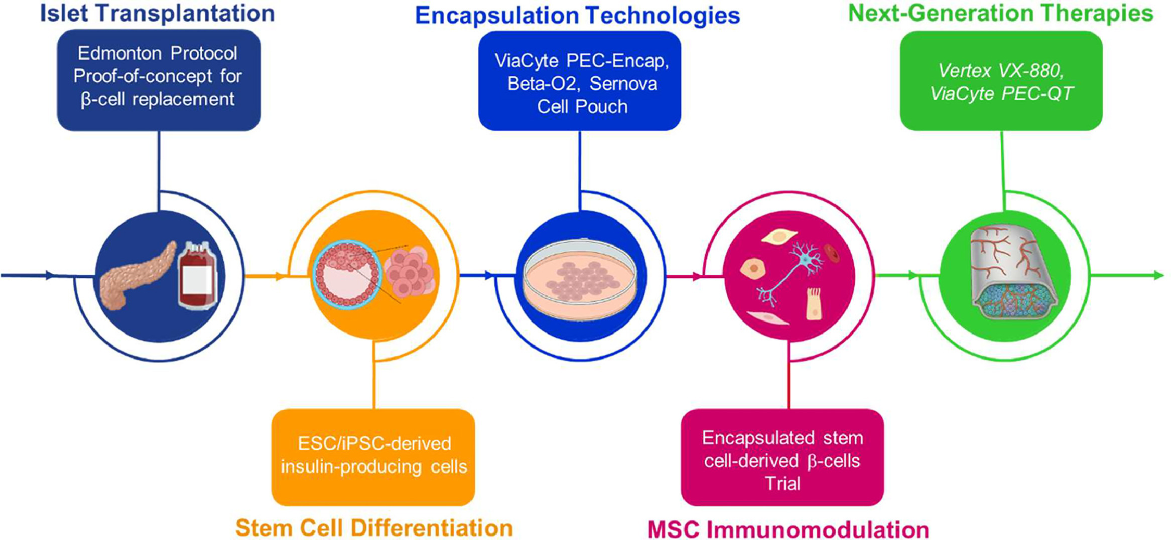 圖3.干細(xì)胞封裝在糖尿病治療中的時(shí)間線。